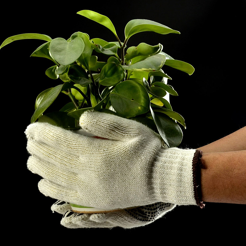 Luvas de trabalho de segurança de pontos de PVC FL-7259